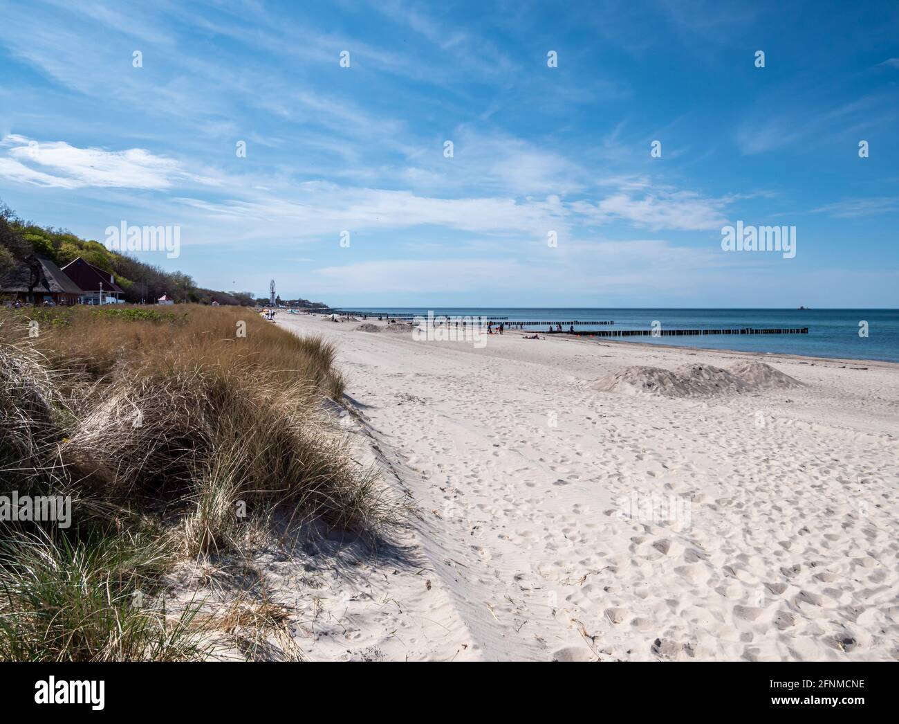 Dune landscape on the Baltic Sea in Kühlungsborn Stock Photo