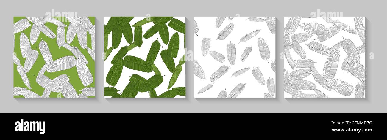 Tropical Palm Leaves Seamless Pattern Collection Set Background. Vector ...