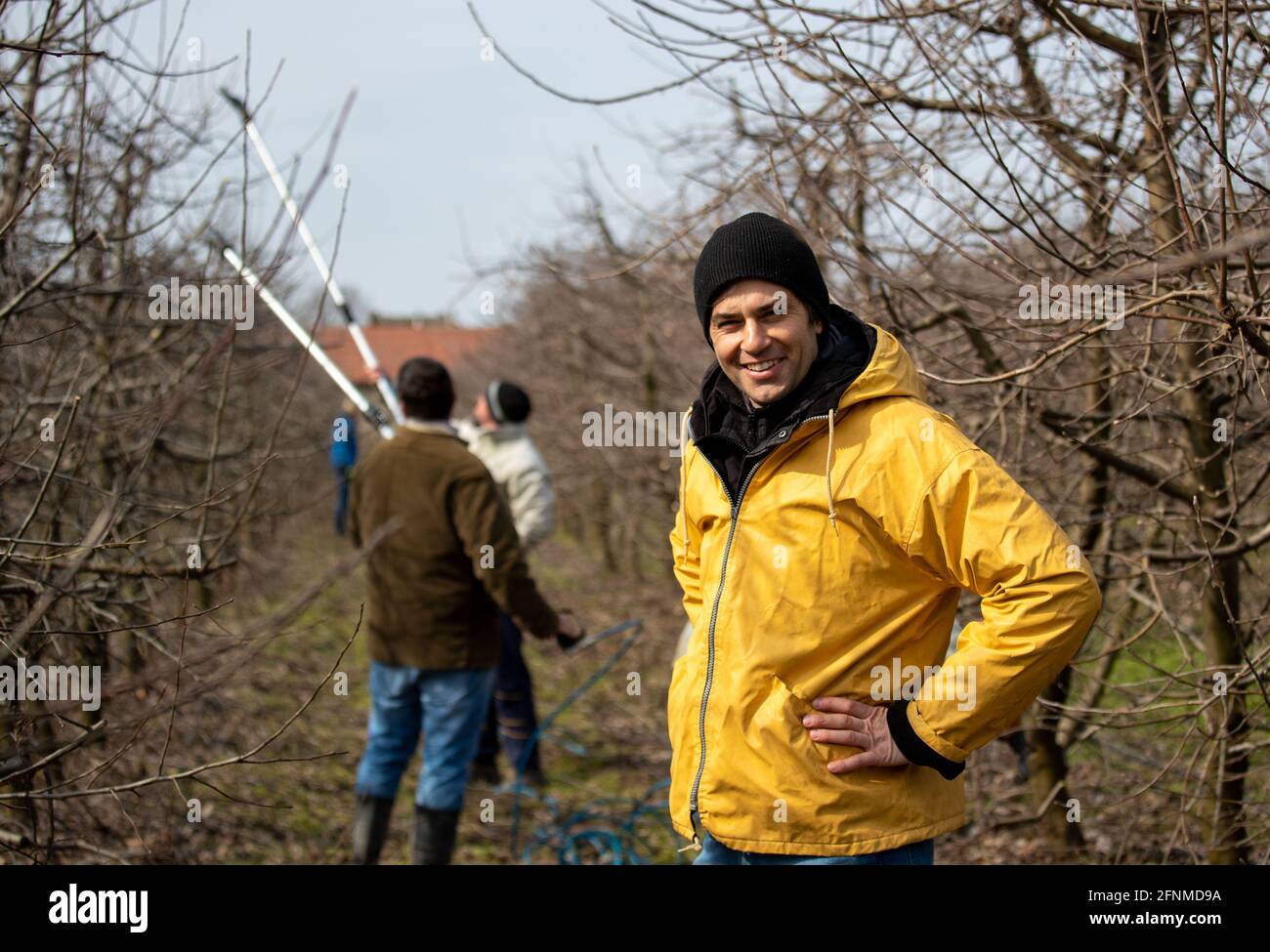 Portrait of handsome farmer standing in orchard in winter time while workers pruning fruit trees in background Stock Photo