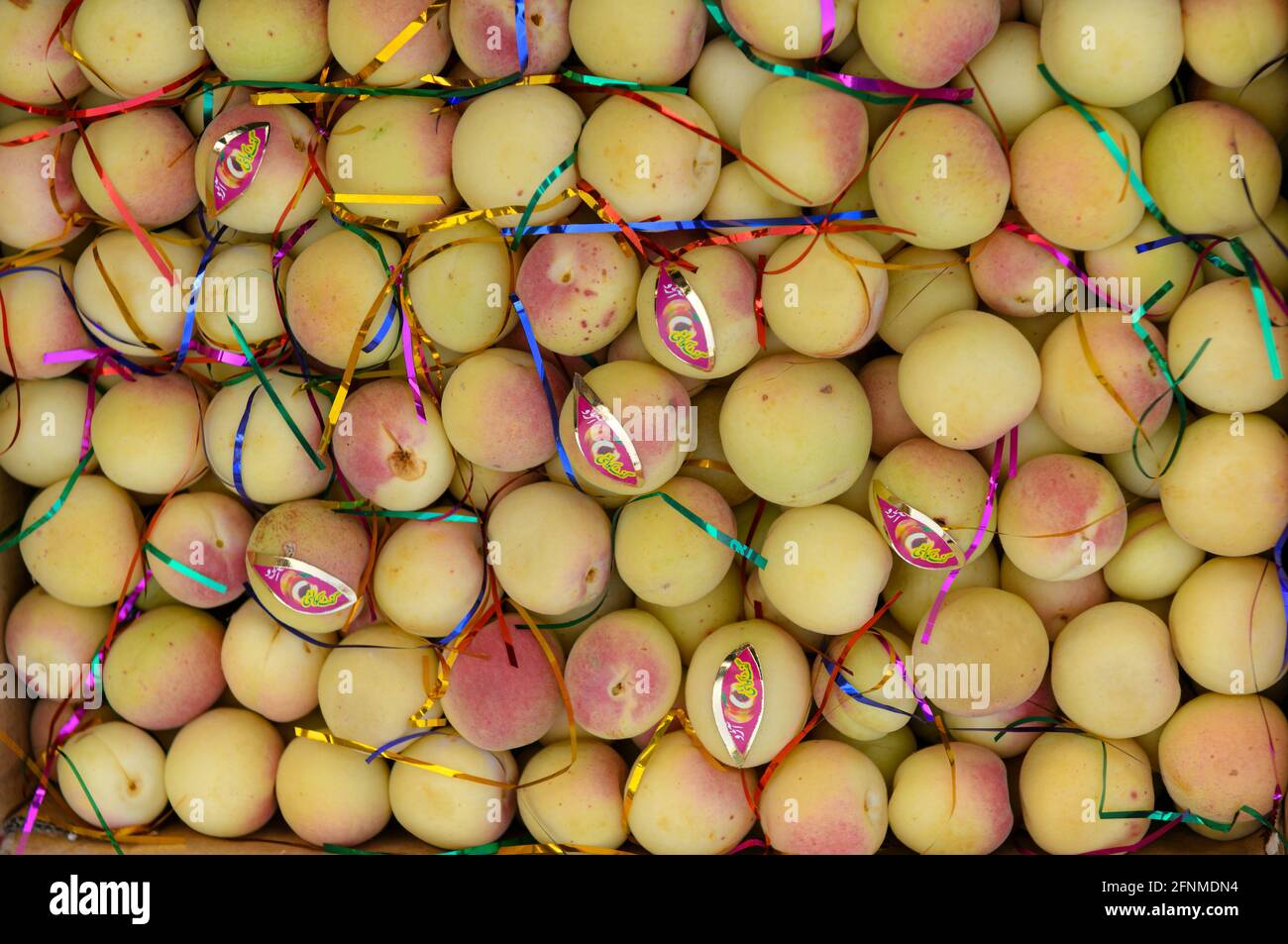 An apricot is a fruit, or the tree that bears the fruit, of several