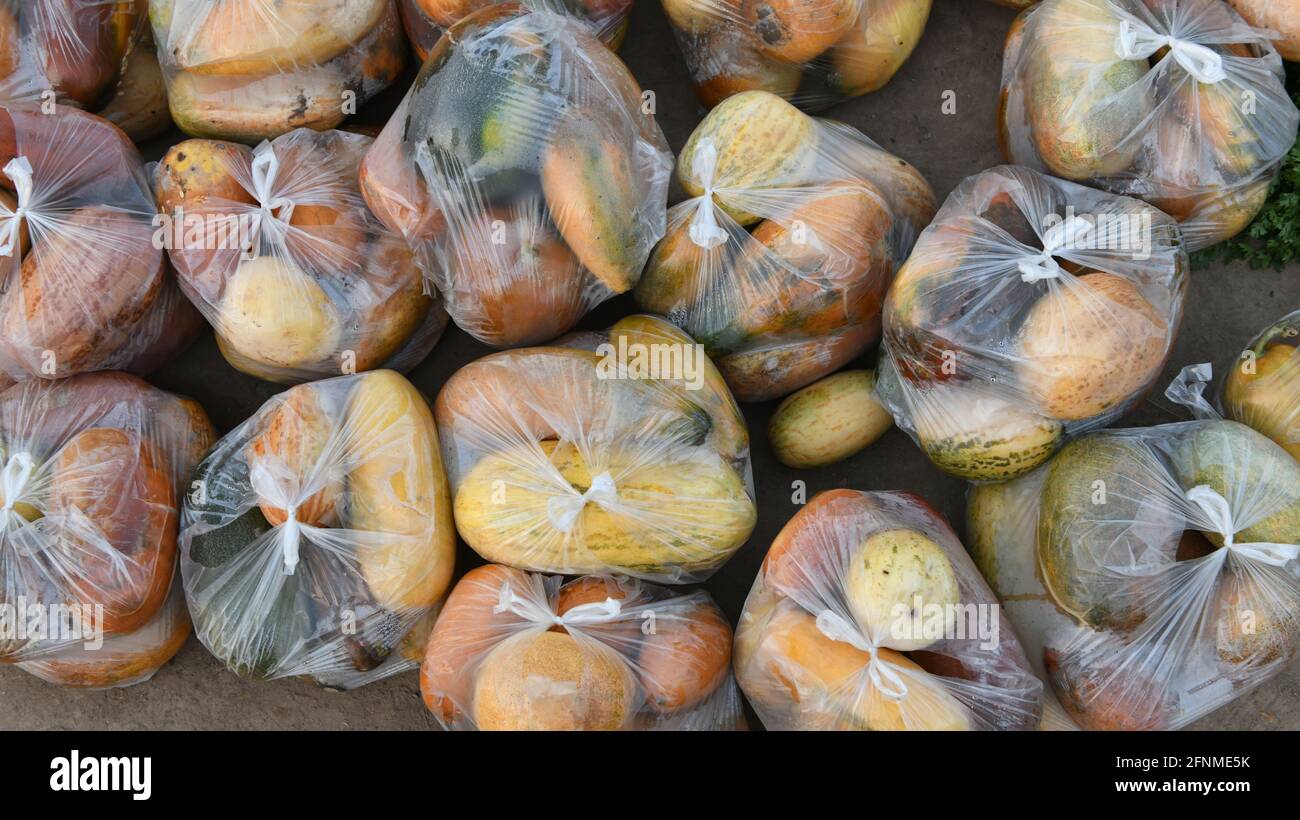 Snap melon, phut, phoot, Cucumis melo susbp agrestris var momordica