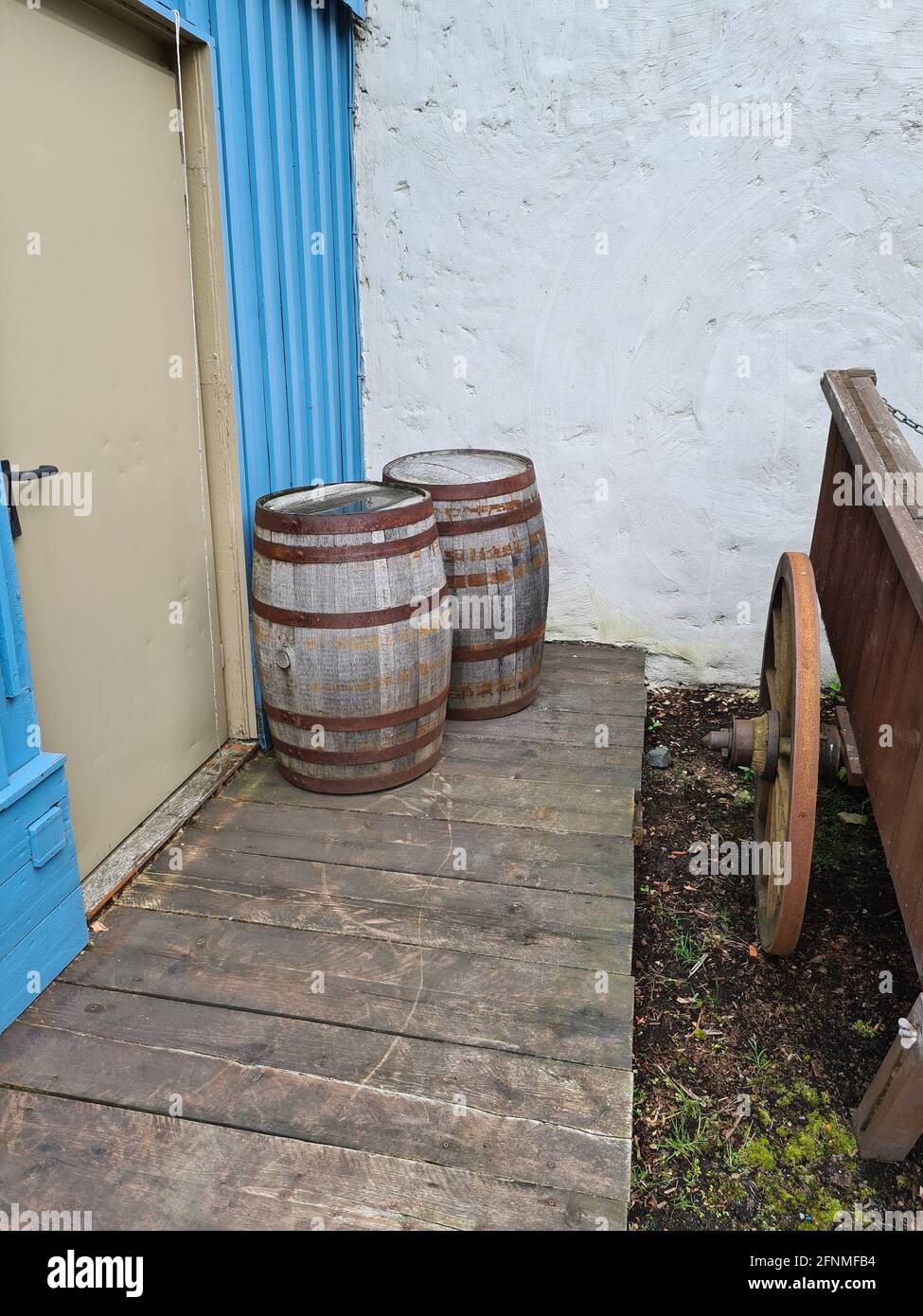 Wooden barrels for wine, beer or whiskey set top view. Realistic cask