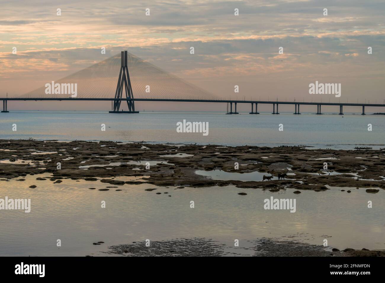 The Bandra–Worli Sea Link, also called Rajiv Gandhi Sea Link, clicked on a bright cloudy day just before sunset Stock Photo