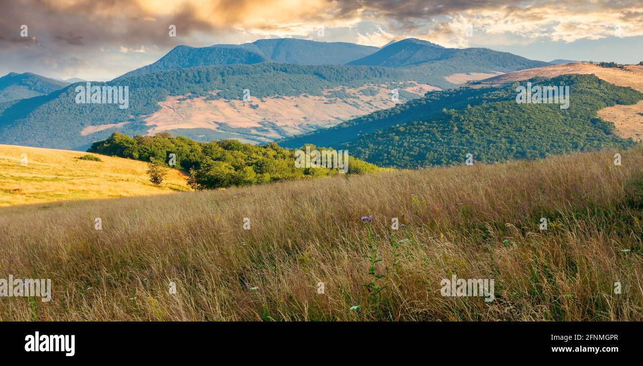 Rural nature landscape hi-res stock photography and images - Alamy