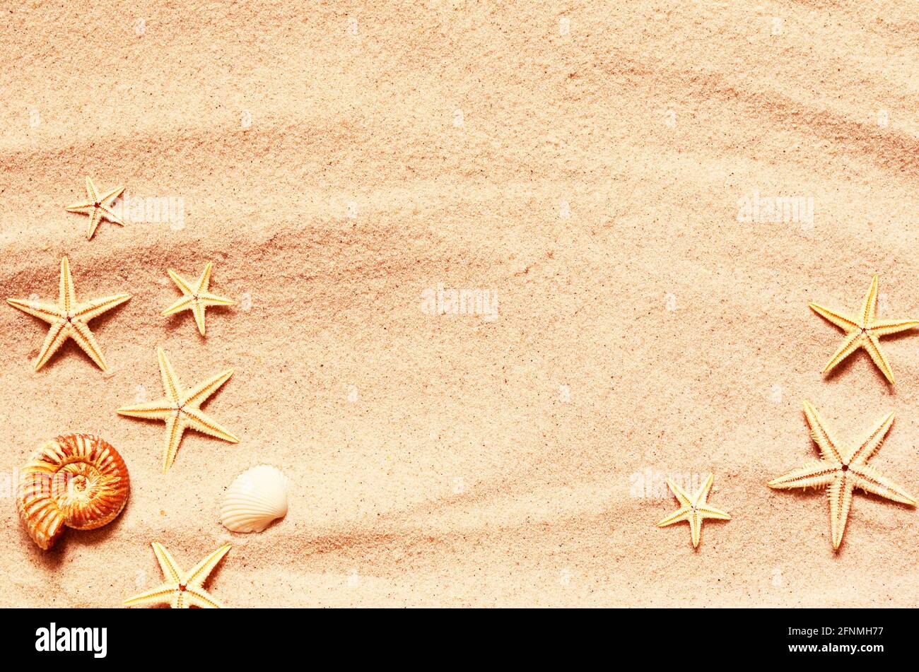Seashell and starfish pattern on the sandy beach. Summer background. Summer time. Stock Photo