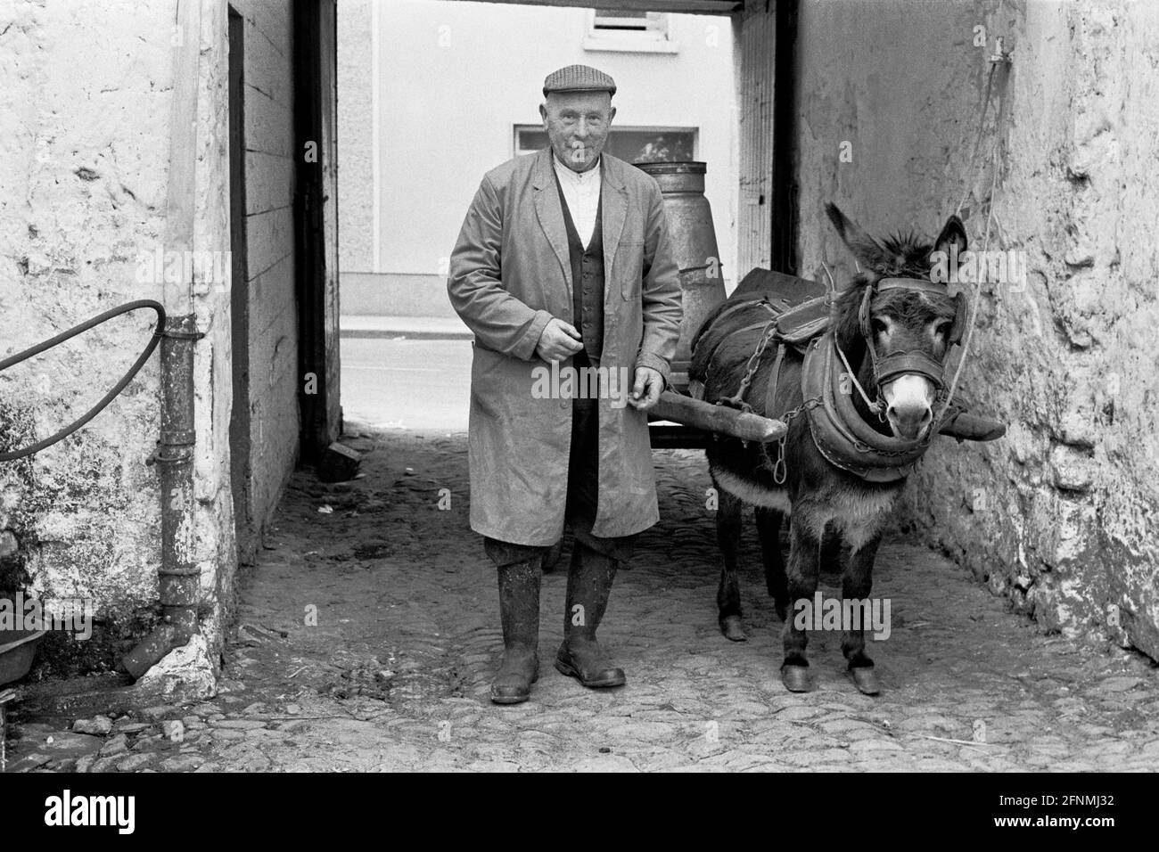 Man delivering milk by donkey-cart, Clogheen, County Tipperary, Ireland, 1973 Stock Photo