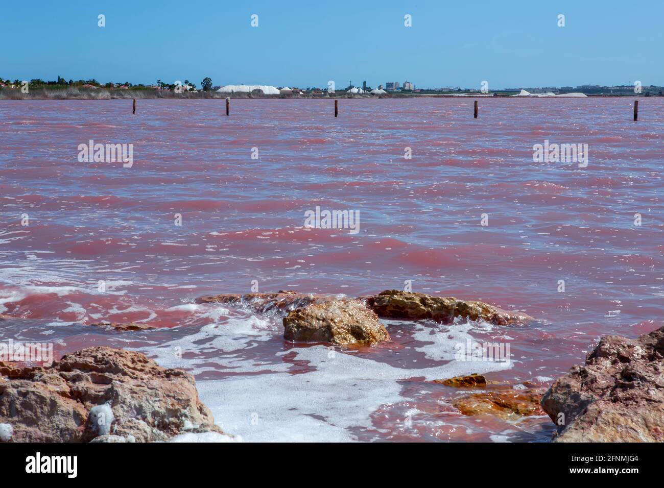 Pink salt lake La Salinas de La Mata of Torrevieja, Alicante region, Spain, Europe Stock Photo