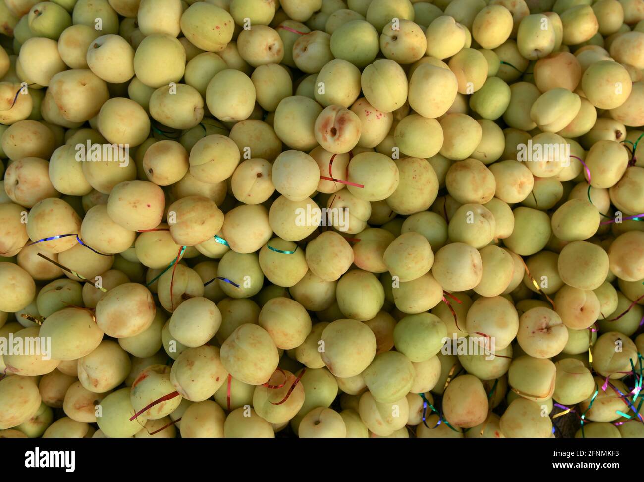 An apricot is a fruit, or the tree that bears the fruit, of several