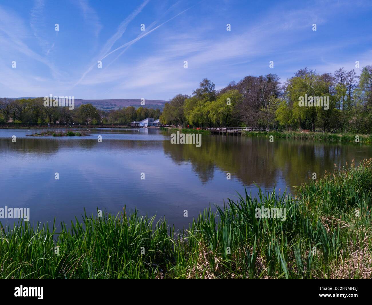 View across tranquil water of Cwmbran Boating Lake Gwent South Wales UK towards the cafe Stock Photo