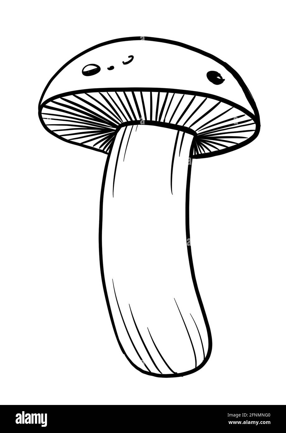 Mushroom sketch art. Digital lines illustration Stock Photo