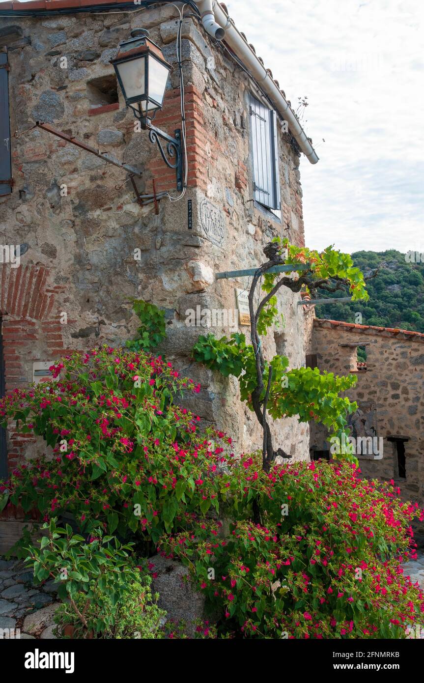 Stone house in the picturesque village of Eus, listed as one of the most beautiful villages of France, Pyrenees-Orientales (66), Occitanie region, Fra Stock Photo