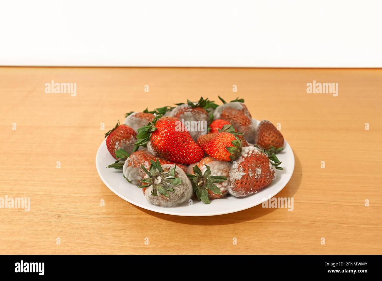 Strawberries rotting away in a pantry Stock Photo