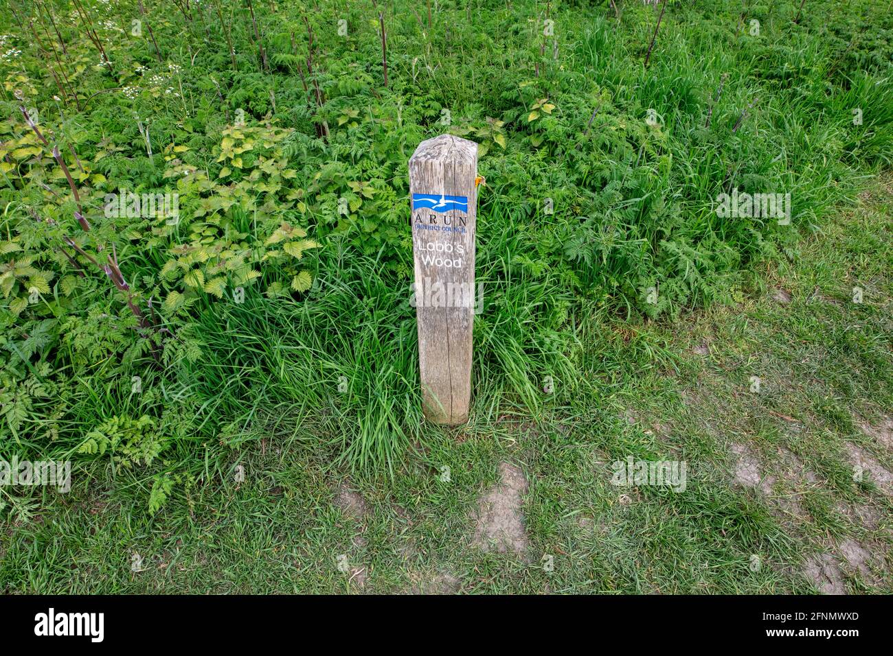 Wooden post marking Lobb's Wood, Littlehampton, West Sussex; a pocket park full of cow parsley and maintained by Arun District Council Stock Photo