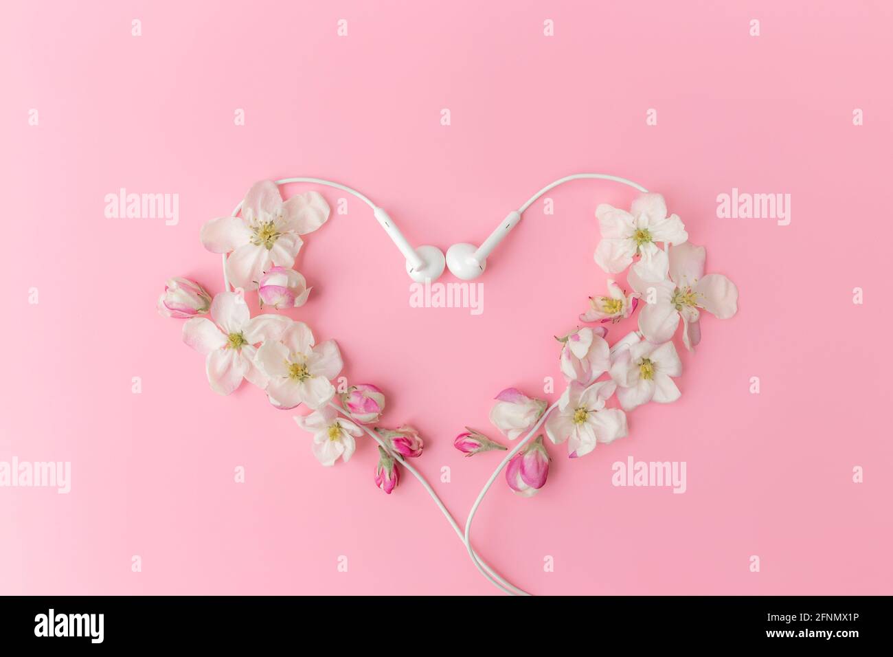 Music lover concept flat lay on pink background with apple blossom heart shape ornament border and earphones Stock Photo