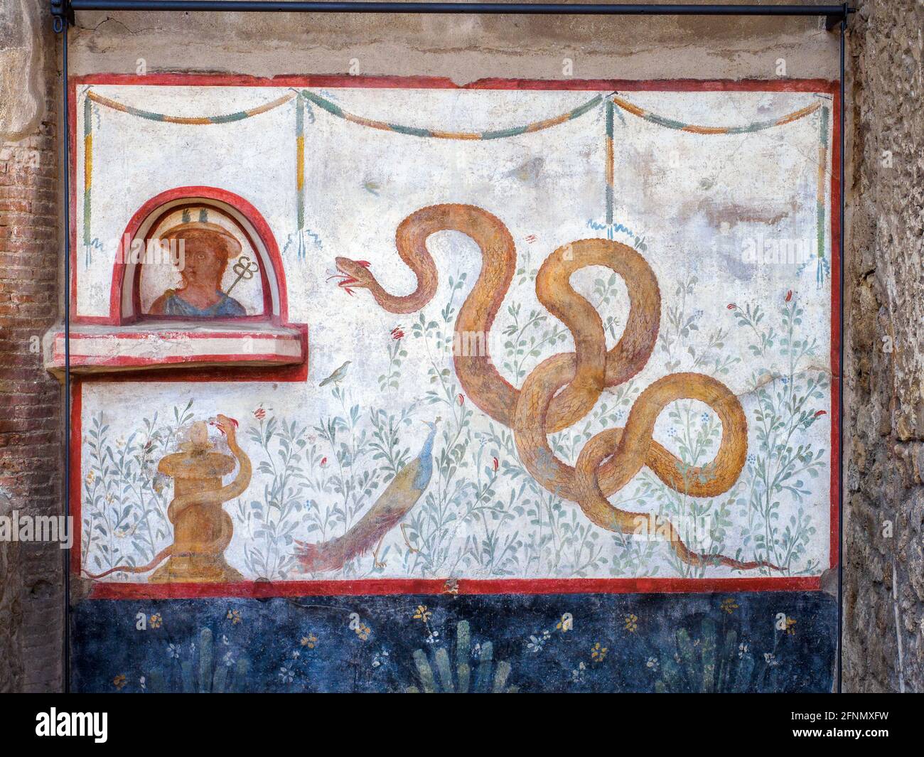 The decoration of the lararium (shrine) shows a large serpent raising its head towards a bust of Mercury set in an arched niche above a projecting ledge Under the niche is a second snake coiled round a small altar. In the background are a variety of plants and bird life including a rather splendid peacock - House of the Cryptoporticus (Casa del Criptoportico)- Pompeii archaeological site, Italy Stock Photo