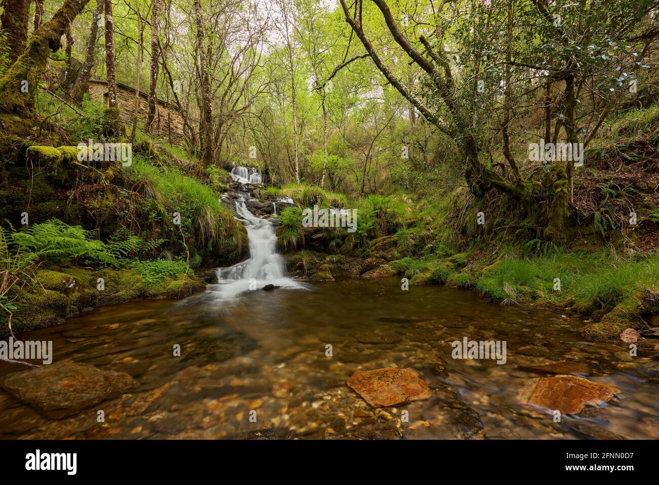 Small waterfall in a forest in the area of Galicia, Spain Stock Photo