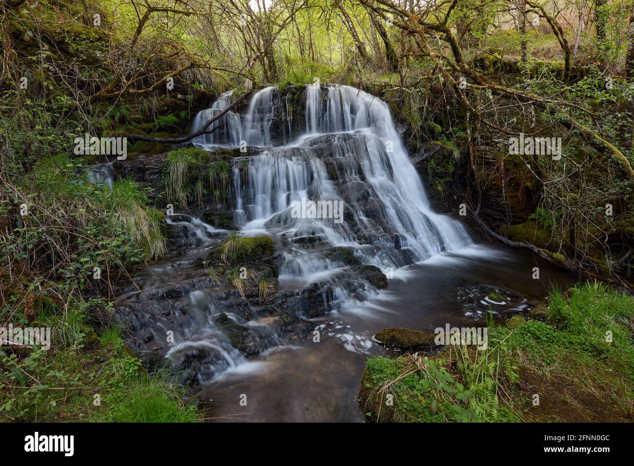 Small waterfall in a forest in the area of Galicia, Spain Stock Photo