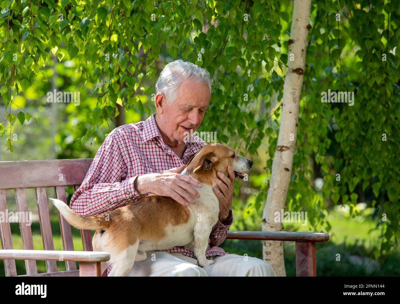 Senior man sitting in garden with cute dog in lap and cuddling Stock Photo