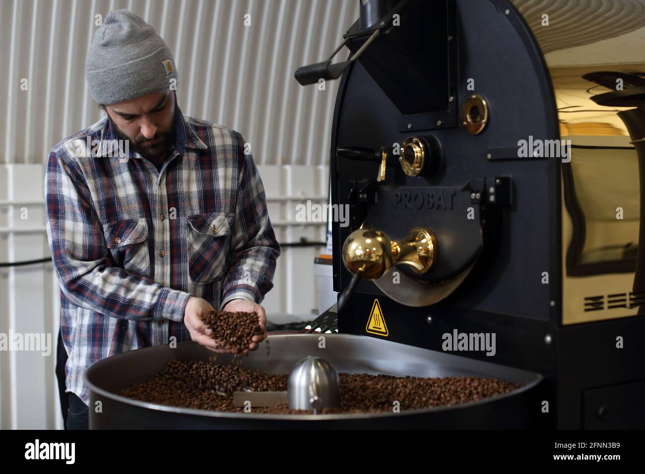 Man holding roasted coffee beans , Man's hand holding coffee beans from roaster Stock Photo