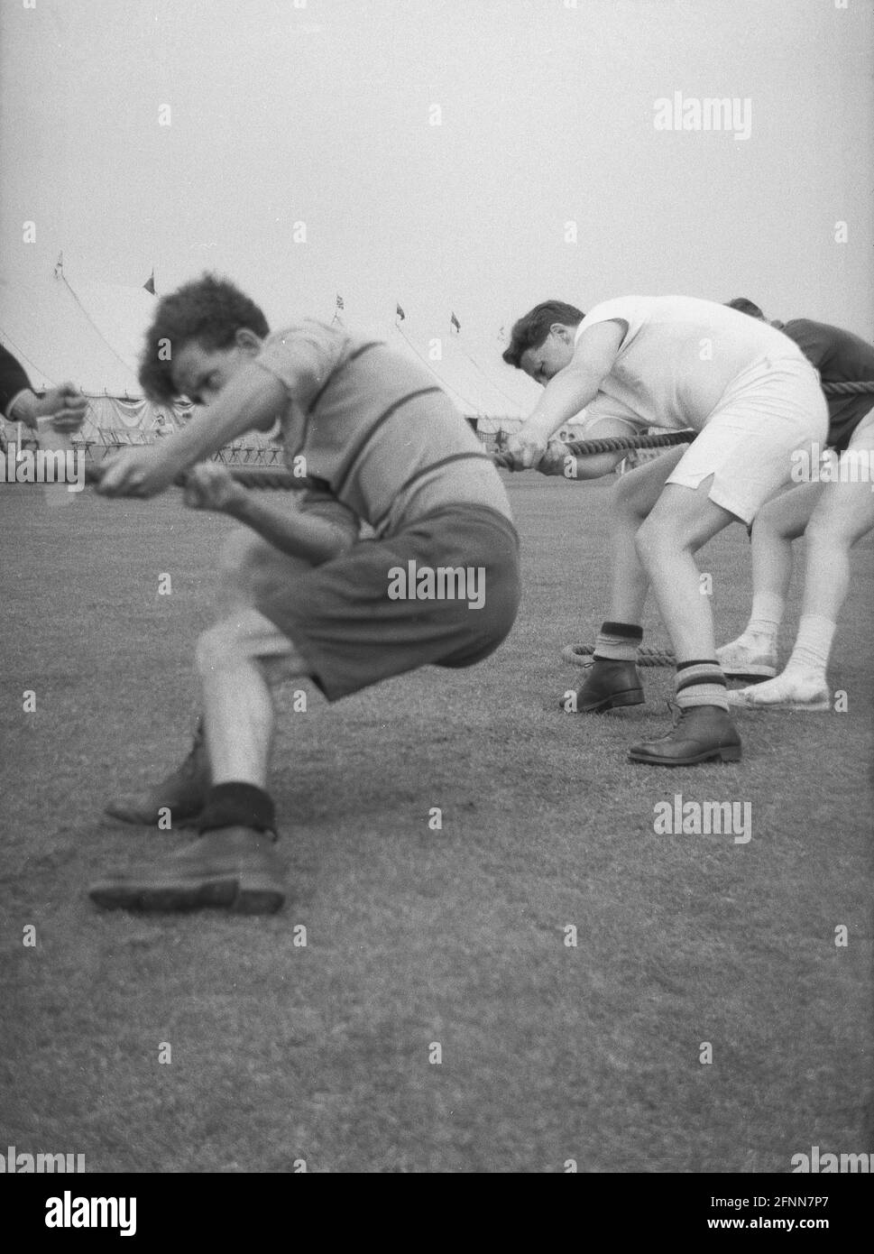 1954, historical, outside in a field, at a civil service sports day, male competitors pulling hard on the rope in a tug-of-war contest, England, UK. Interesting footwear, the front two men are wearing heavy boots, possibly ex-army, while at the back, the man is wearing pilmsols. An ancient sport, and part of the summer Olympic games from 1900-1920, Tug of War is a test of strength between two teams with the goal being to bring the rope a certain distance in one direction against the force of the opposite team's pull. Stock Photo
