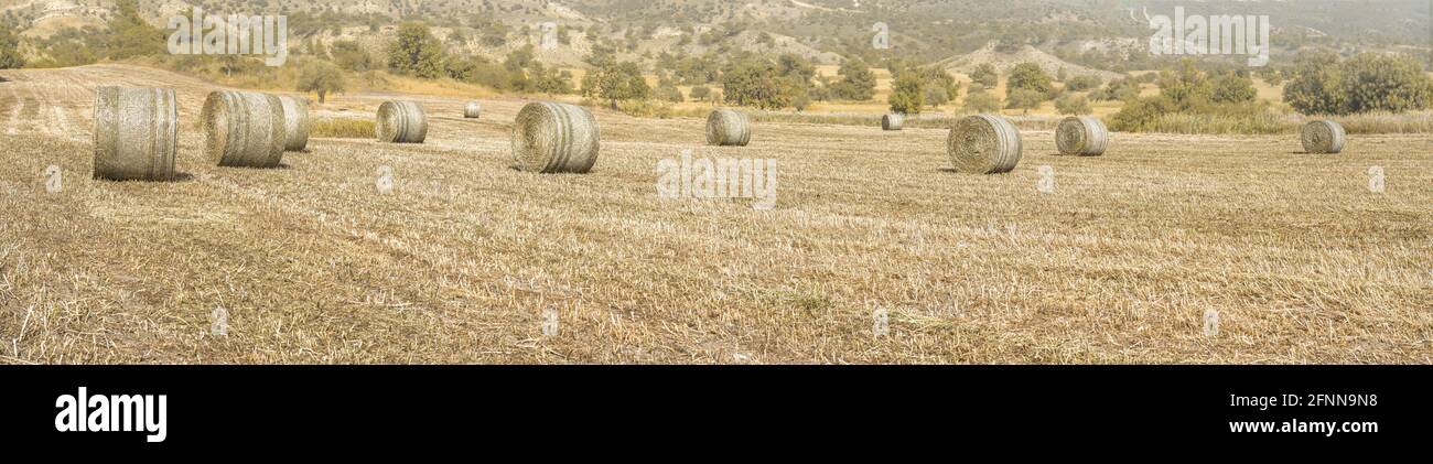 Wide panorama of agricultural field with dried grass and hay bales, Mediterranean landscape with trees and hills on background Stock Photo