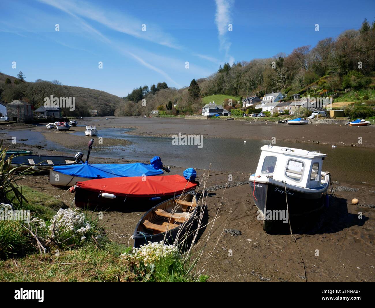 Low tide at Lerryn, on a tributary of the River Fowey, Cornwall. Stock Photo