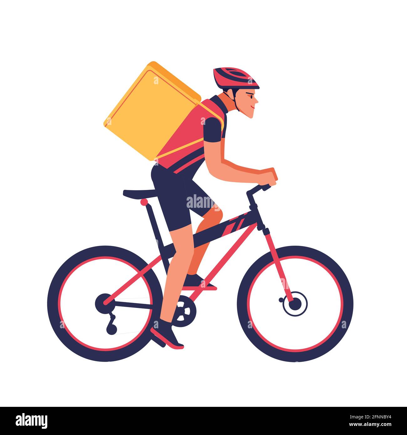 Bike 2025 box courier