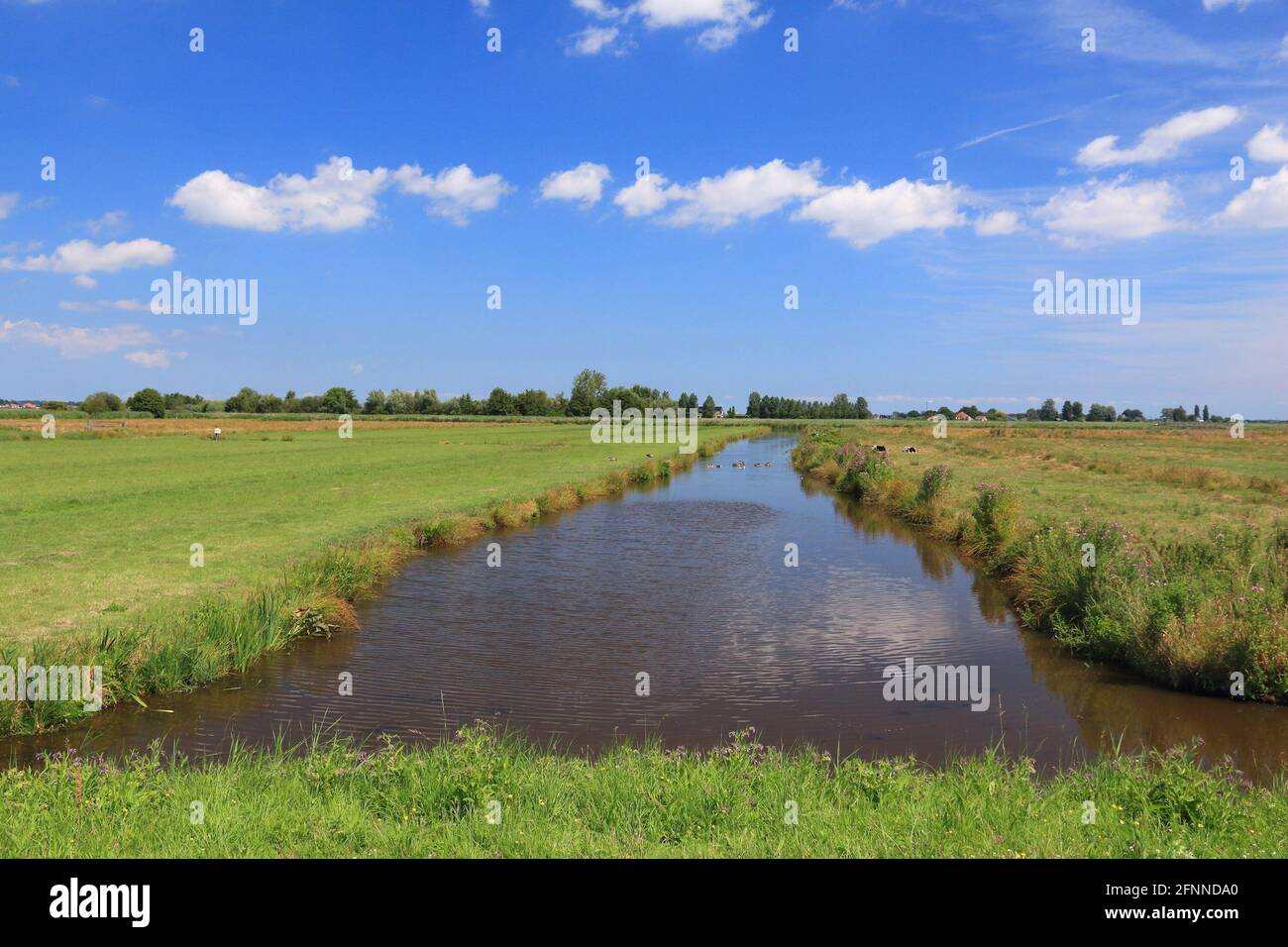 Polder Example Geography Polder plain hi-res stock photography and images - Alamy