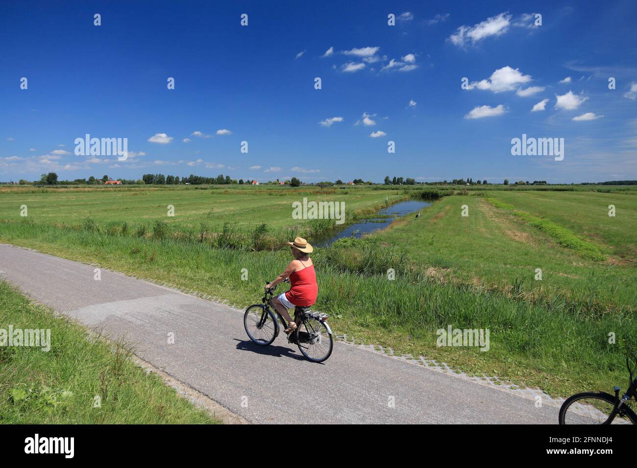 ZAANDAM, NETHERLANDS - JULY 9, 2017: Cyclists visit polder countryside of Kalverpolder in Zaandam. Netherlands has 35,000 km of cycleways physically s Stock Photo
