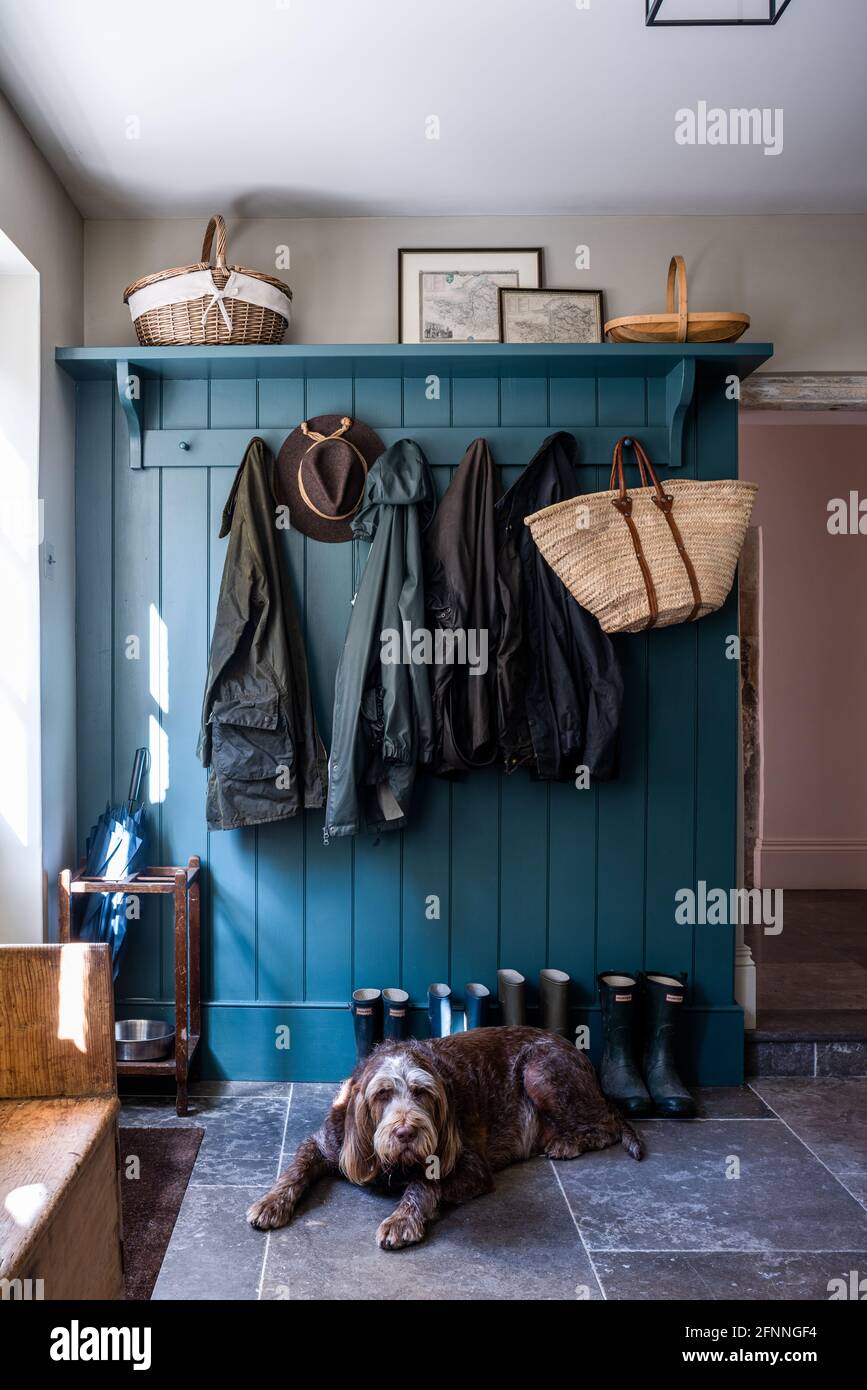Tongue and groove panelling in Inchyra Blue in restored Jacobean Wool Merchant's house, Somerset. Stock Photo