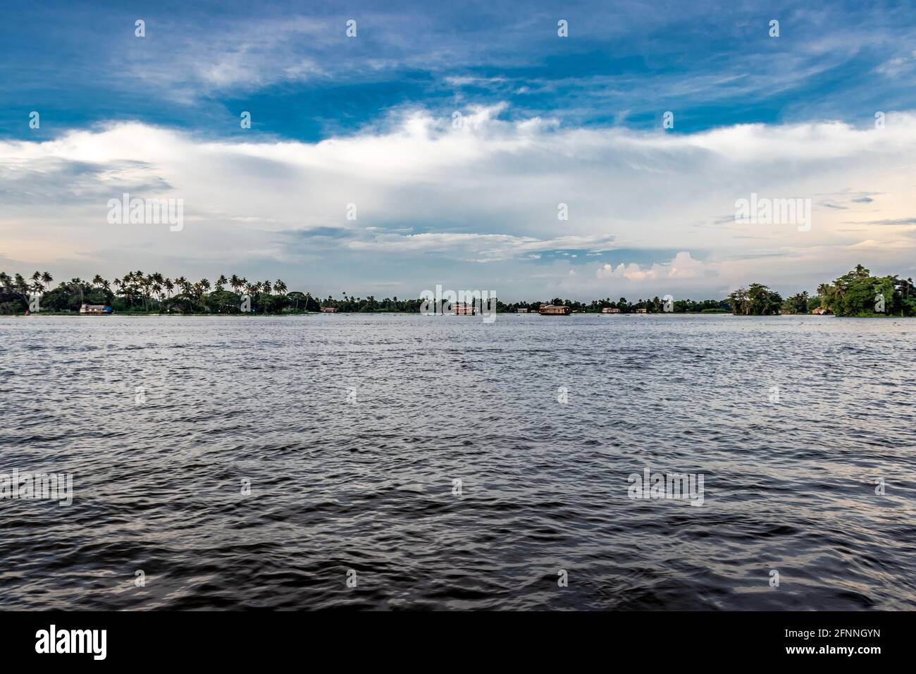 Backwater view at alleppey kerala india with blue sky and palm tree Stock Photo