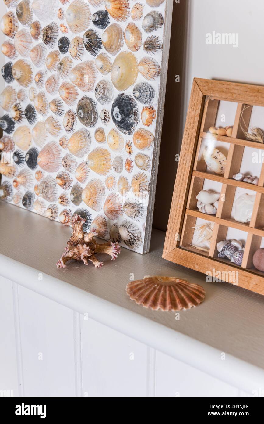 Seashell collection and artwork in 19th century Victorian cottage. Stock Photo