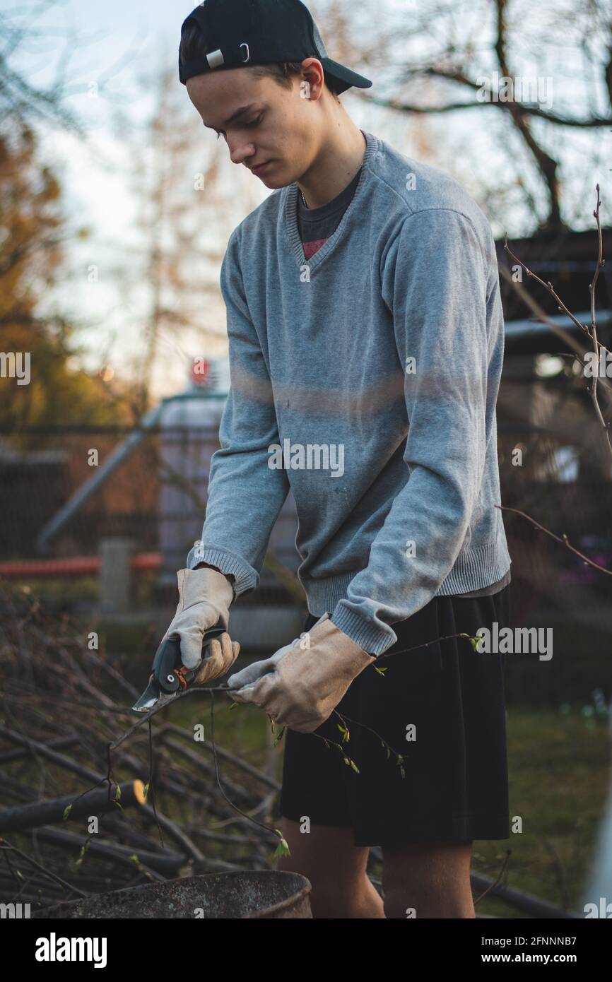 15-18 year old boy wearing a cap and work clothes cuts thin branches into small sticks with special scissors and puts them into an iron barrel for lat Stock Photo