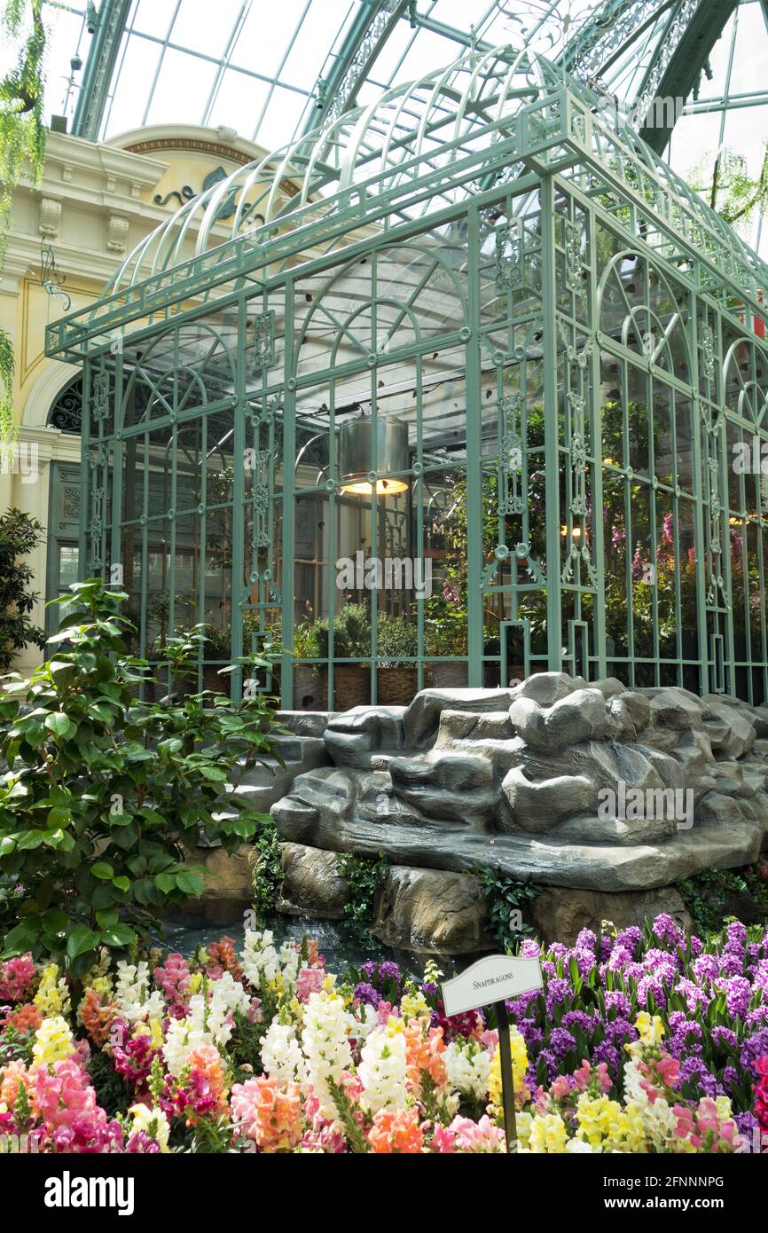 The butterfly habitat at the Bellagio Conservatory and Botanical