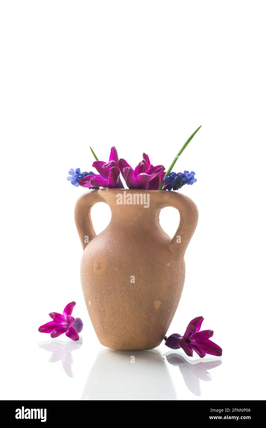 beautiful bouquet of spring flowers isolated on white background Stock ...