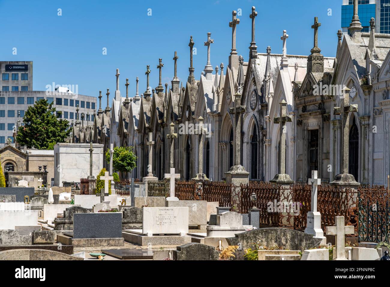 Friedhof Cemitério de Agramonte in Porto, Portugal, Europa   |  Cemetery Cemitério de Agramonte in Porto, Portugal, Europe Stock Photo