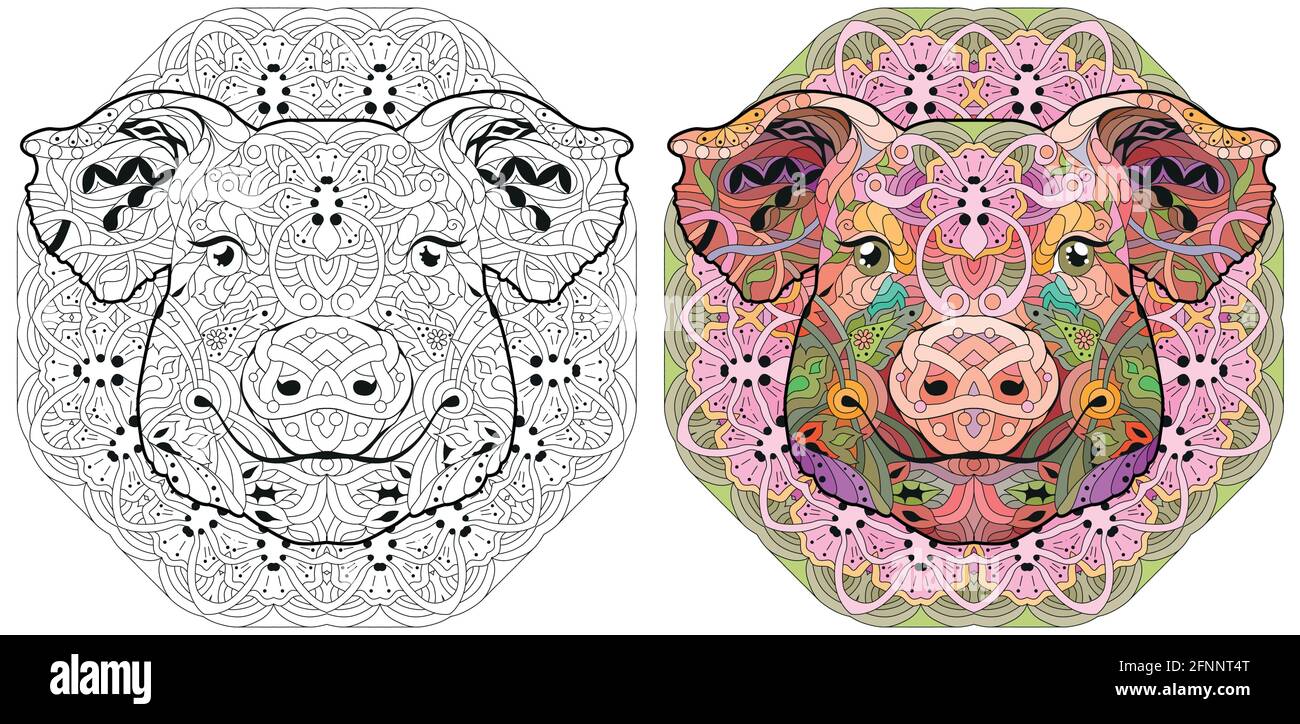 Head of pig with mandala zentangle styled for t-shirt design, for coloring, tattoo and other decorations. Color and outline set Stock Vector