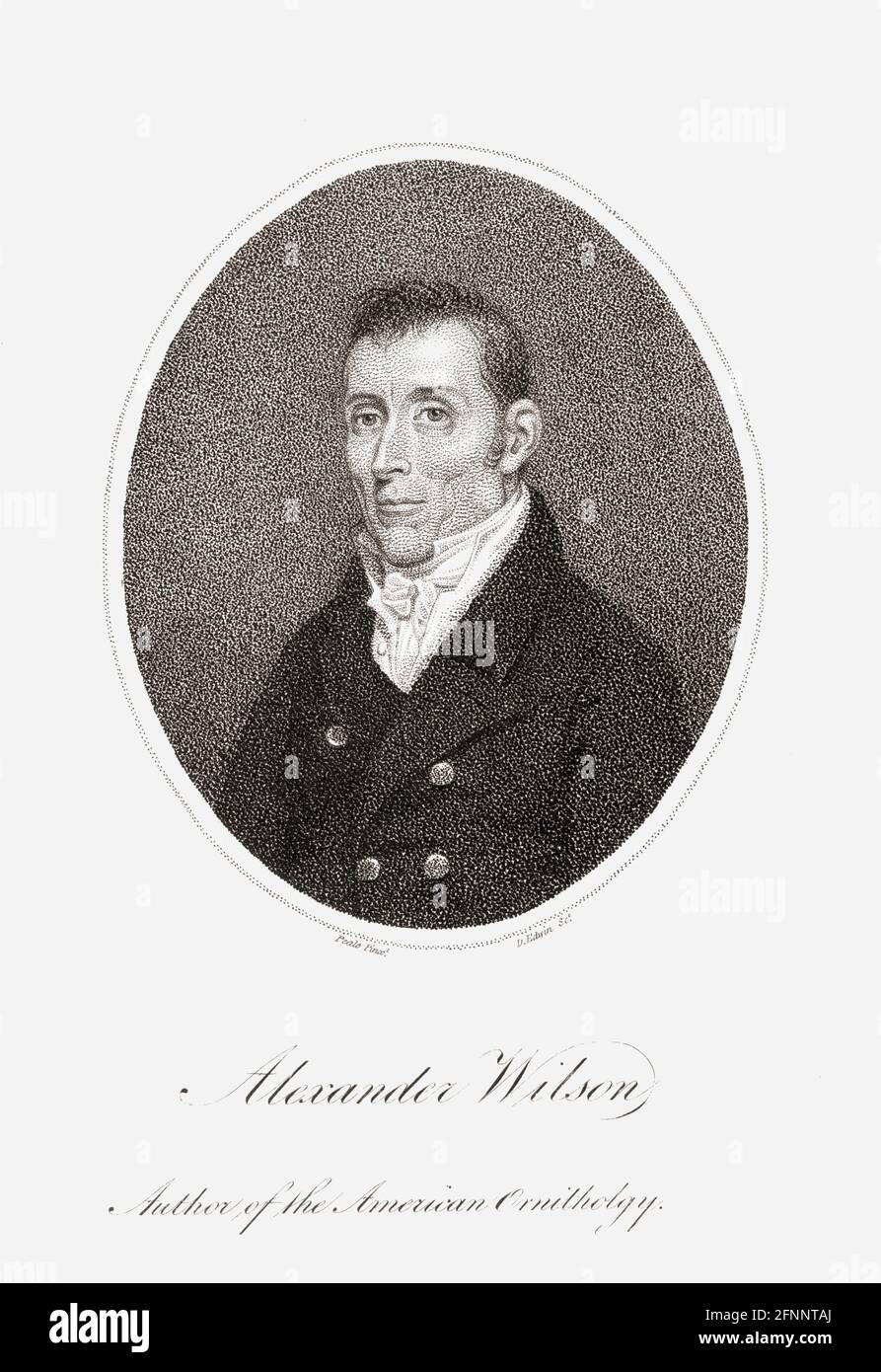 Alexander Wilson, 1766 – 1813.  Scottish-American poet, ornithologist, naturalist, and illustrator.  His work, including American Ornithology; or, the Natural History of the Birds of the United States, was an inspiration to naturalist John James Audubon.  After a work by Charles Willson Peale. Stock Photo