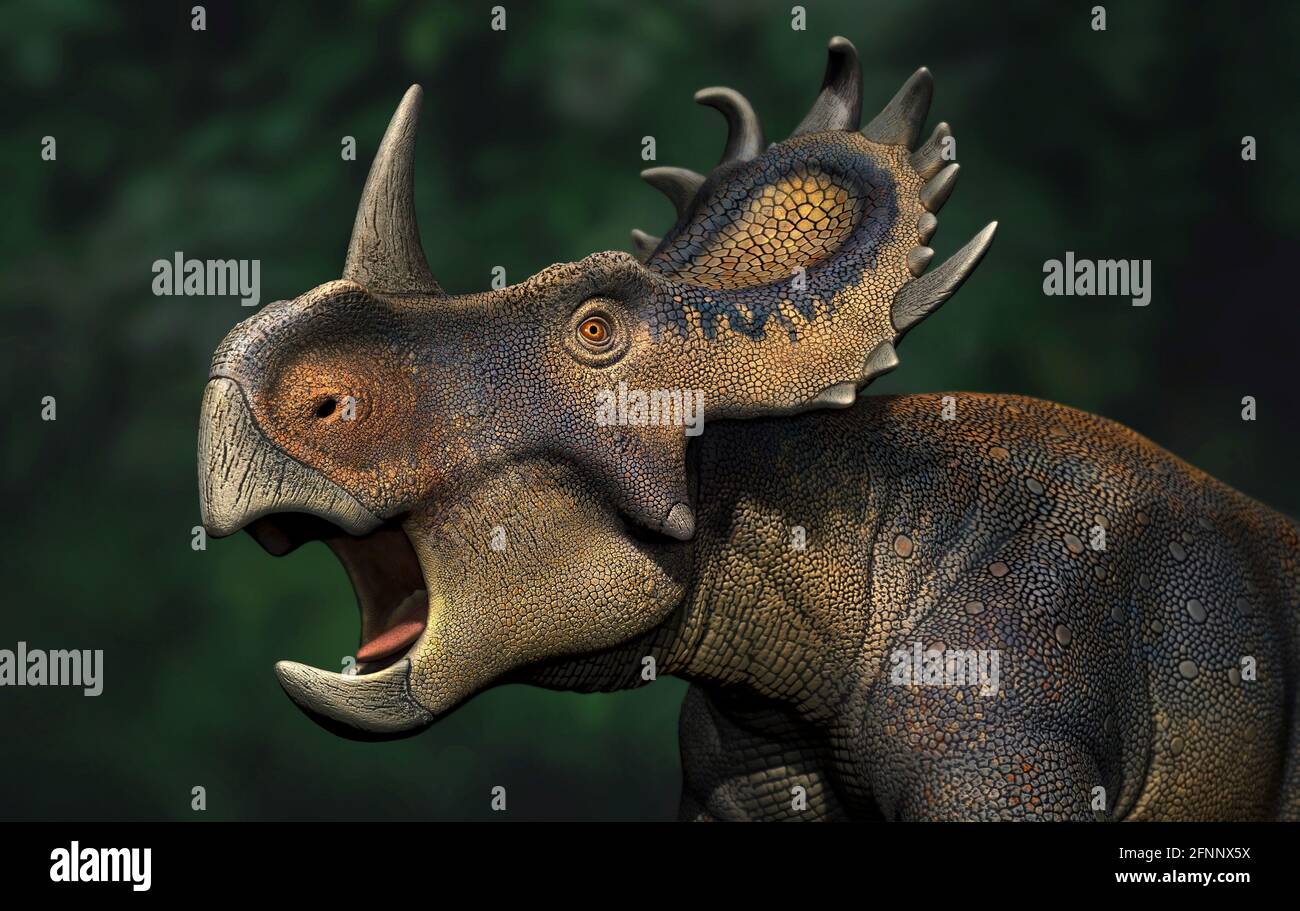 Sinoceratops A Genus Of Ceratopsian Dinosaur From Cretaceous Period Stock Photo