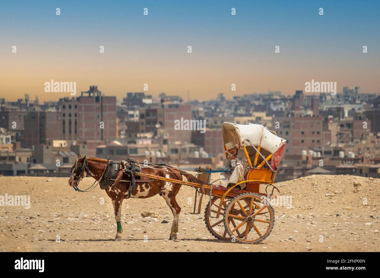 CAIRO, EGYPT MAY 18 2021 horsedrawn cart, cart in the old Arab city