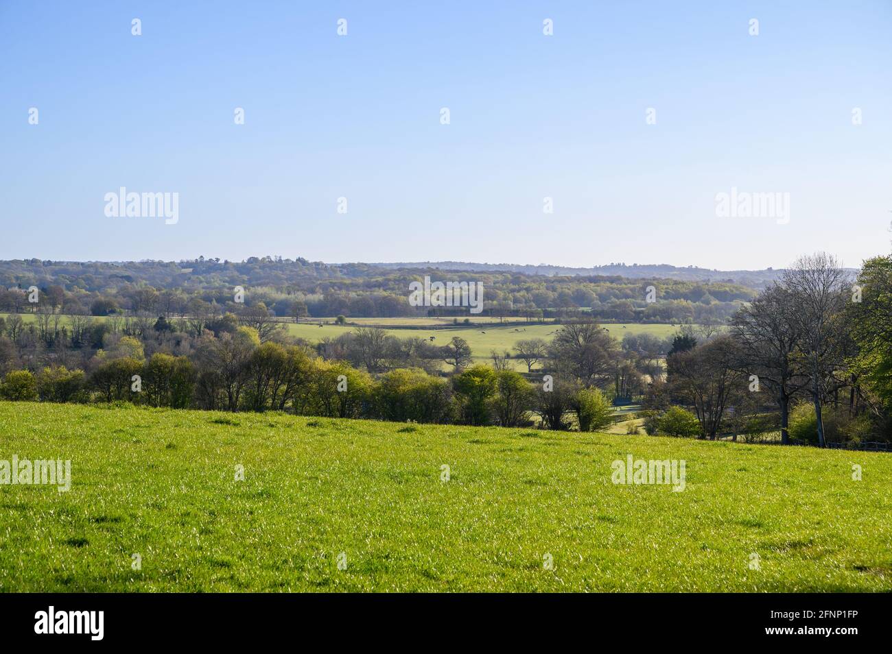Early morning view over West Sussex countryside in spring with pastures, farmland and woods near Haywards Heath, England. Stock Photo