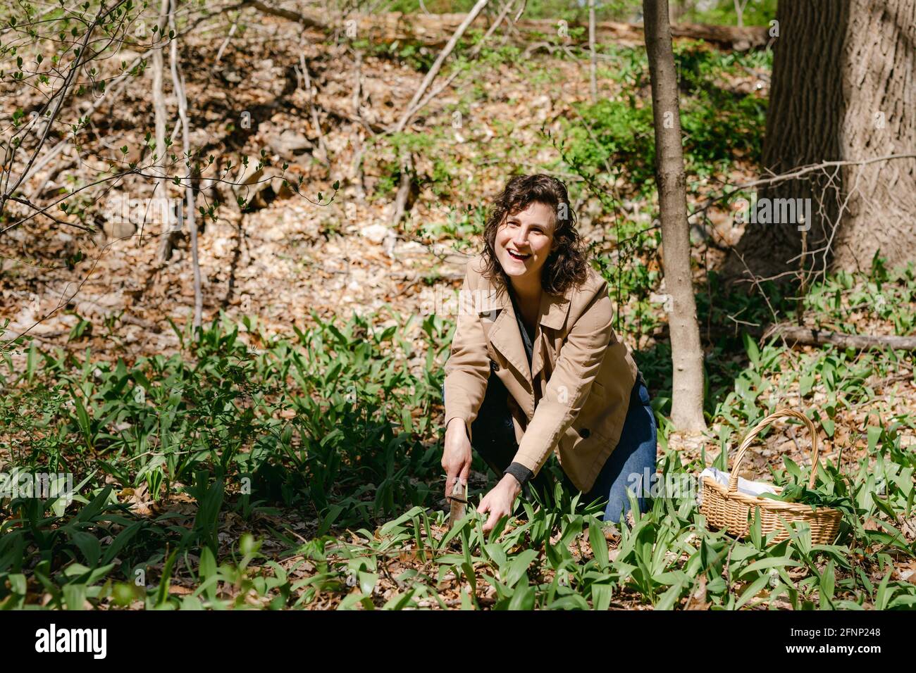 Happy female foraging for wild ramps in the sunny forest Stock Photo