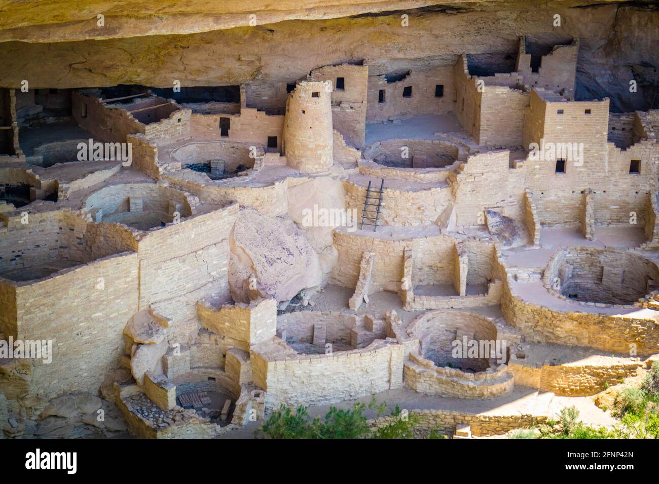 The Cliff Palace in Mesa Verde National Park, Colorado Stock Photo - Alamy