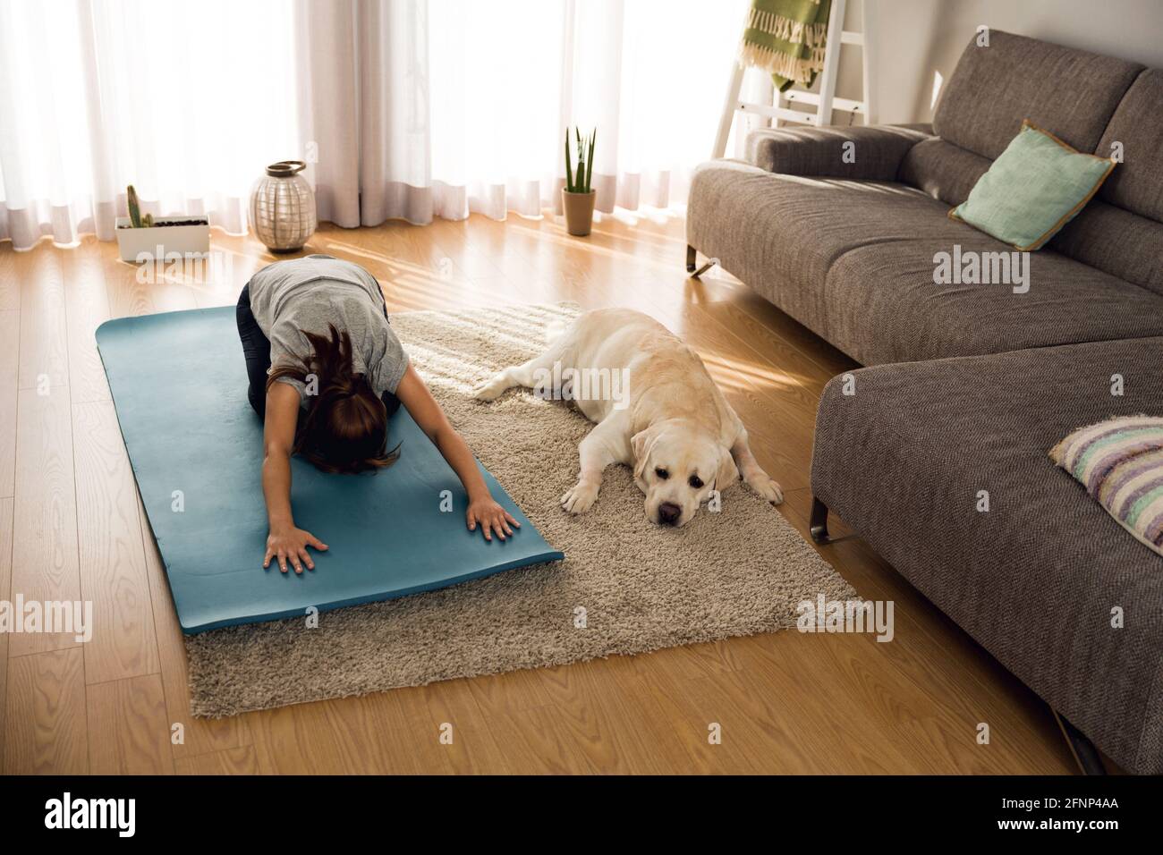 Doing exercise with her lazy dog Stock Photo Alamy