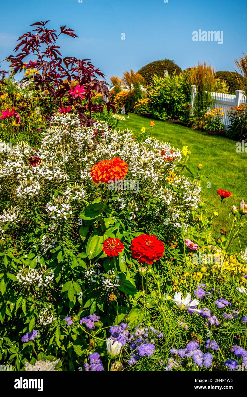Different types of flower in the yard of Ogunquit, Maine Stock Photo