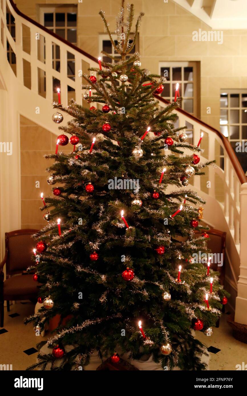 Christmas tree with decorations and lights. Geneva. Switzerland Stock Photo  - Alamy