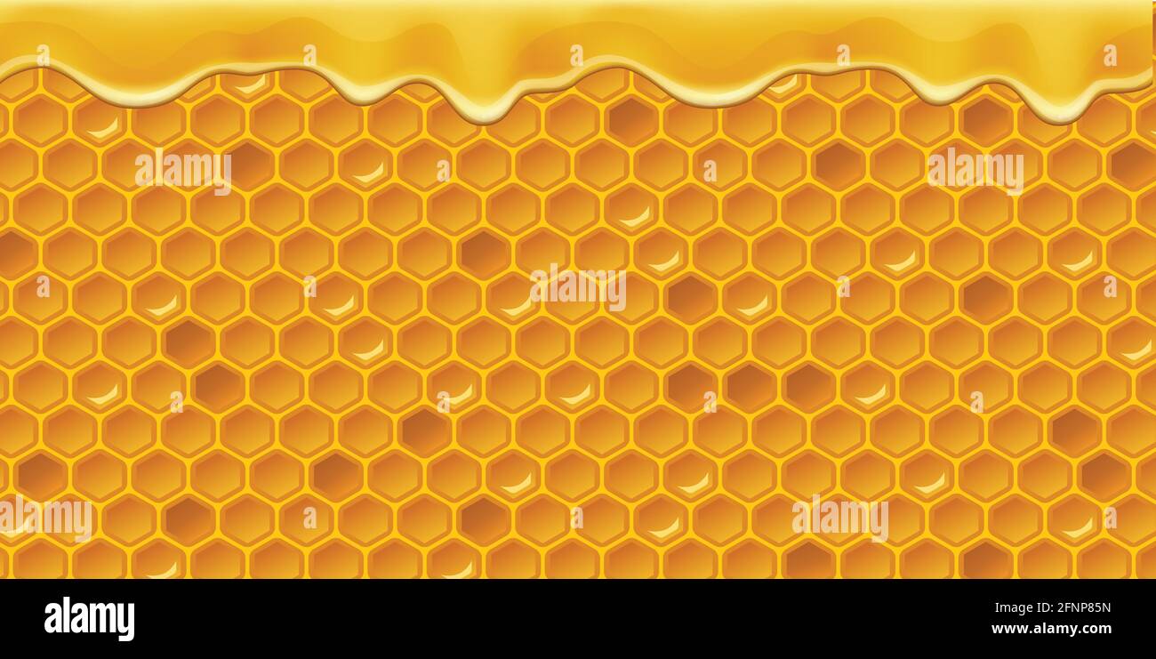 Vector Honey Comb background pattern repeatable Stock Vector