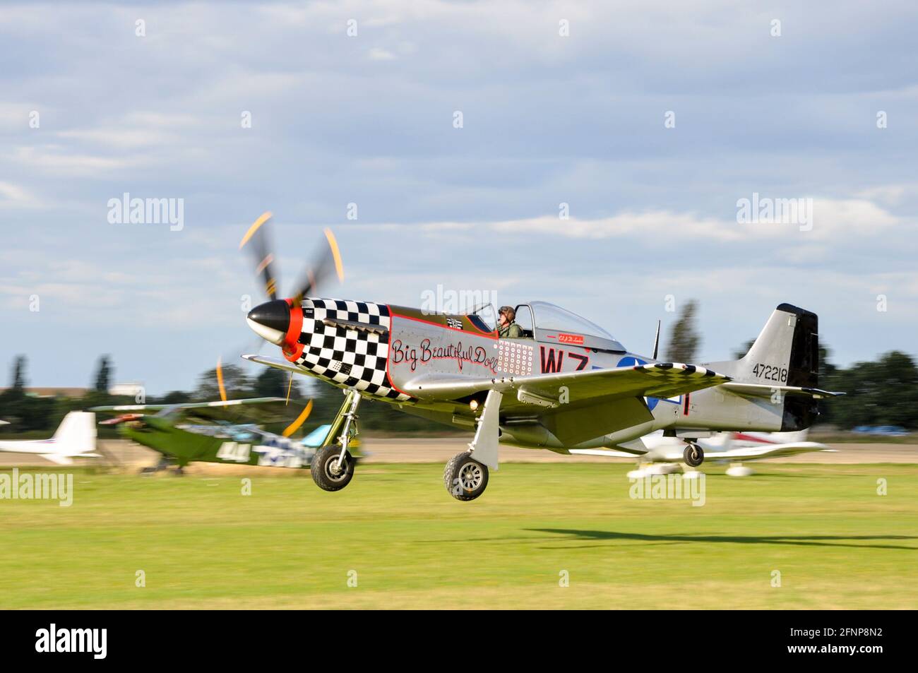 North American P-51D Mustang fighter plane named Big Beautiful Doll landing at Little Gransden airfield, Cambridgeshire, UK. Flown by Rob Davies Stock Photo