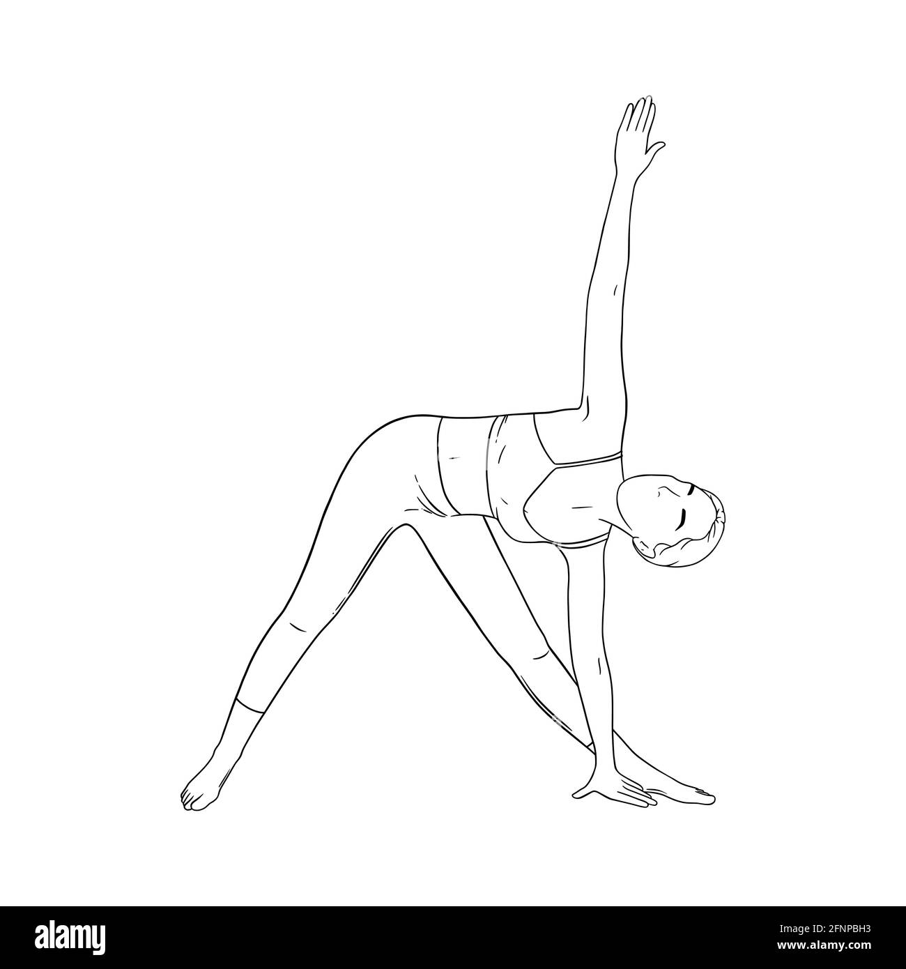 Woman in triangle yoga pose. Trikonasana pose in hatha yoga. Sketch vector illustration isolated in white background Stock Vector