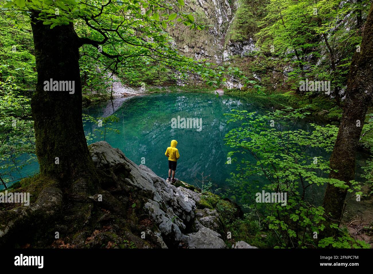 Slovenia, Zgornja Idrijca Natural Park, boy in yellow jacket standing on a rock by the Lake Divje Jezero or Wild Lake Stock Photo